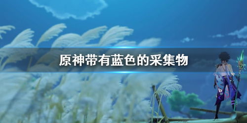 湖光铃兰探秘：揭秘《原神》采集新地标
