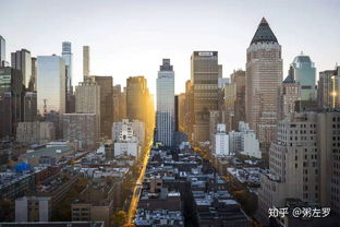 《都市天际线2》深度解析：揭秘全新房屋类型，打造梦幻家园攻略