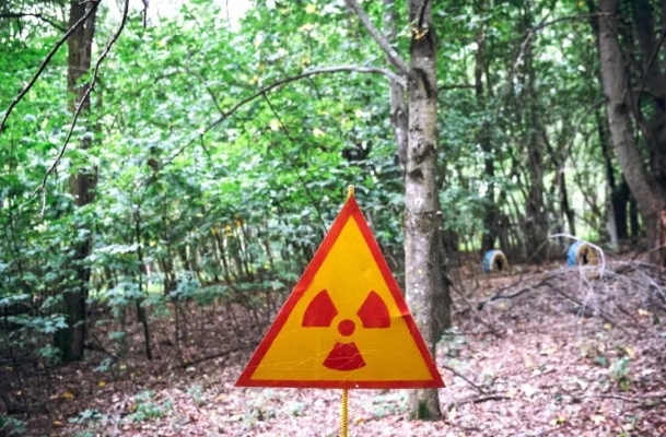 辐射吞噬者：切尔诺贝利惊现耐高辐射真菌新奇迹