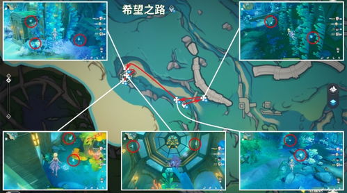 夏洛蒂突破必备！苍晶螺高效采集攻略解析