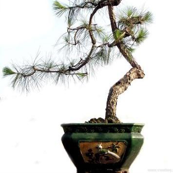 《节奏大师手游》攻略揭秘：入坑必备，畅玩新体验