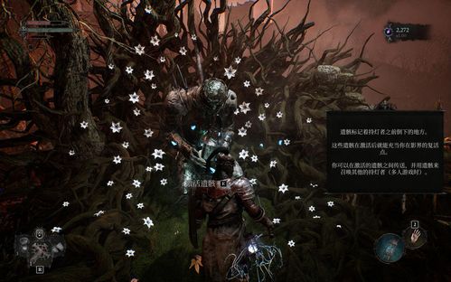 《堕落之主》11月5日更新补偿大揭秘，全新福利来袭！