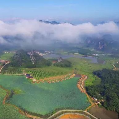 九龙探秘：沉浸式全流程解说，解锁游戏新视角