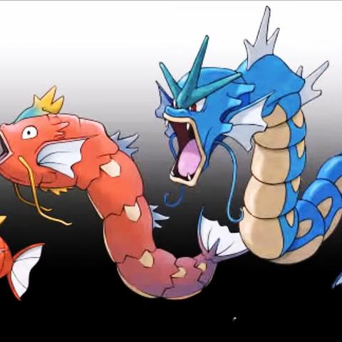 宝可梦集结喷火龙图解揭秘，进化奥秘一网打尽