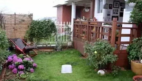 《犹格索托斯庭院》全攻略揭秘：高效通关秘籍大公开