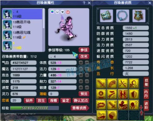 梦幻宫殿君主回廊攻略：破解扭曲之谜，解锁全新战力