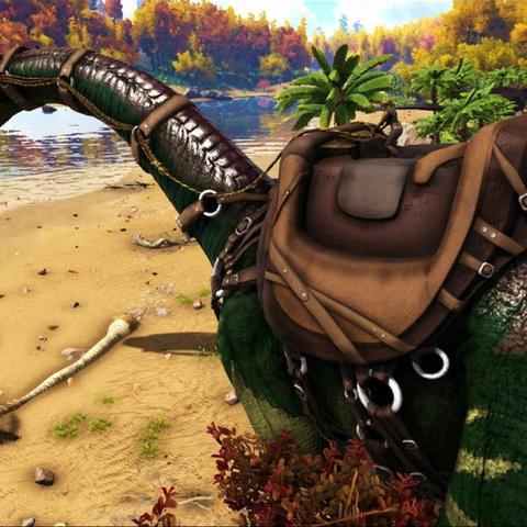 《命运方舟》染色方案揭秘，外观焕新攻略全解析