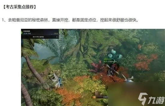 高效升级《命运方舟》考古等级，解锁神秘新价值