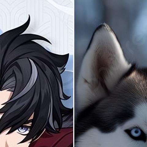 莱欧斯利攻略解析：揭秘角色实力与价值评估