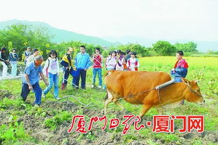 《农民生活探秘：体验农耕新乐趣》