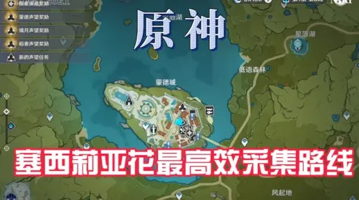 《原神》4.1塞西莉亚花探秘：全新采集点攻略大揭秘