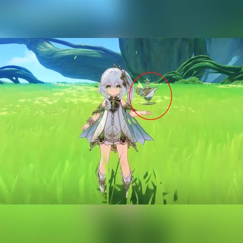 《原神》线路攻略：揭秘高效采集新秘籍