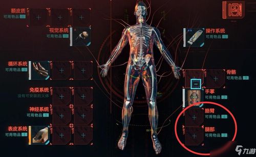 深度解析：赛博朋克2077义体系统，解锁未来身体进化奥秘