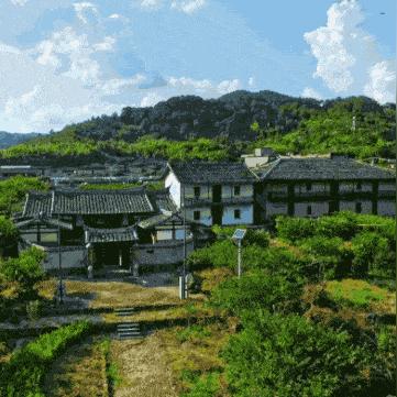 年度游戏提名揭晓在即，谁能脱颖而出？揭秘竞争焦点！