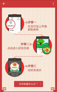 梅洛彼得堡攻略：高效收集特许券秘籍大公开