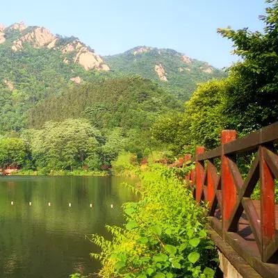 《刺客信条幻景》实战攻略：解锁游戏新境界技巧分享