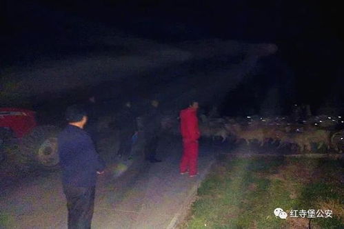 7年开发梦碎，3万愿望单落空，抢测疑云笼罩成功路