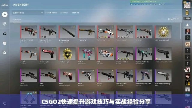 《CSGO2》配置文件同步技巧大揭秘：一键优化体验新高度