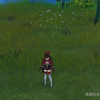 《原神》4.1版宝箱新藏匿，探秘宝藏攻略大揭秘