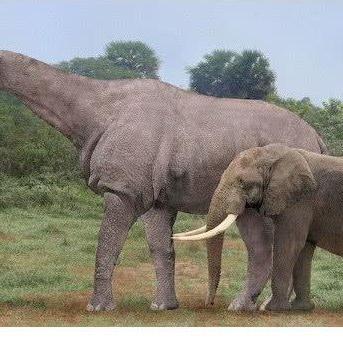 巨兽猎杀新篇章：揭秘《COD22》奇巨人战役重生记