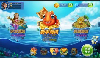 《怒海龟途》炮台肉鸽新发售，多人合作探险启航！