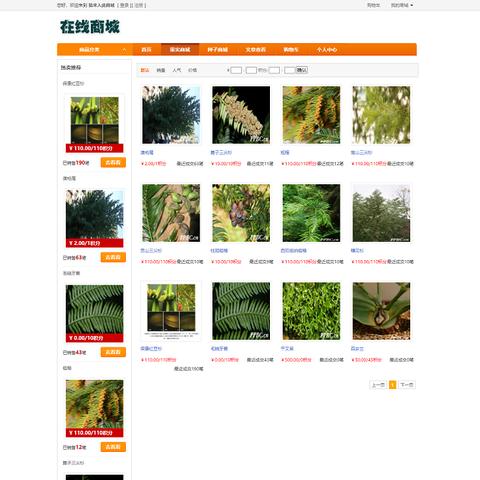 植物大战僵尸2兑换码输入攻略，轻松解锁新玩法秘籍