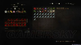 《星空》速赚攻略：揭秘高效赚钱新秘籍