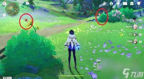 探索枫丹犬影秘境：捕捉《原神》4.0光影研学第三天独特犬类瞬间