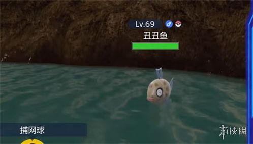 碧之假面丑丑鱼捕捉攻略 美丽鳞片高效收集技巧揭秘