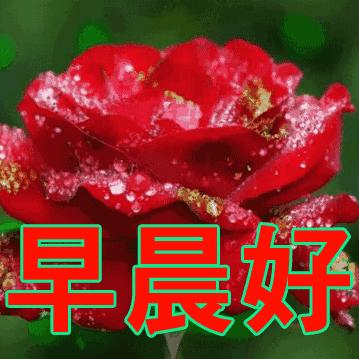 《星空宝藏号》录音秘境全解析，探秘新航程