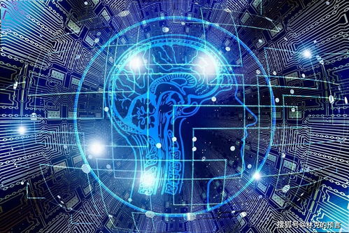 《星空》矿物采集攻略：高效建站技巧大揭秘，解锁全新价值！