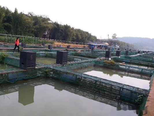 《星空哨站高效养殖攻略：揭秘绿色养殖新价值》