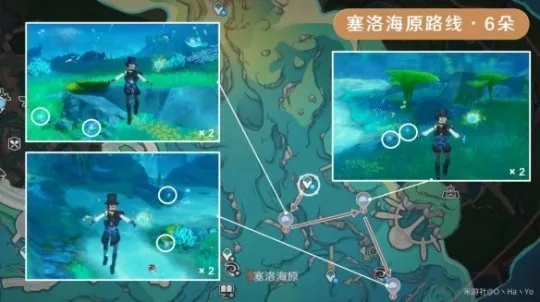 海露花高效采集攻略，解锁神秘新价值