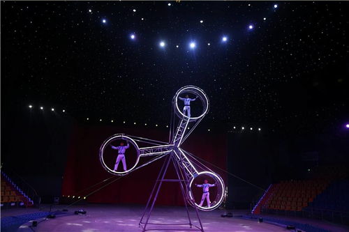 探索《星空》奥秘，解锁全新游戏体验