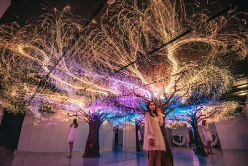 霓虹城商业区探秘：《星空》全览新视角