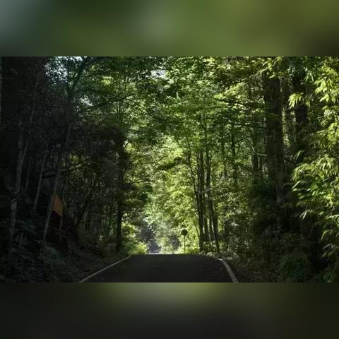 《星空视野大升级》MOD，探索无限新视角！