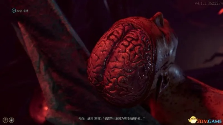 博德之门3第二章夺心魔寄生虫标本高效收集秘籍大公开