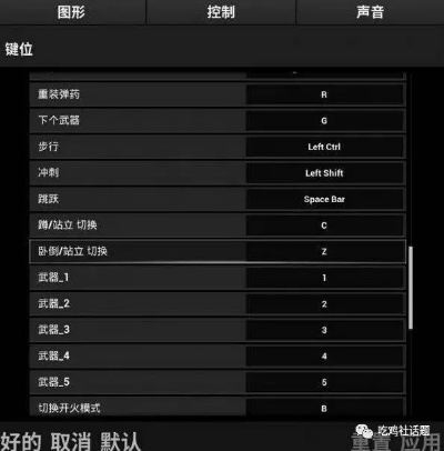 《绝地求生》新手攻略：系统优化+实战技巧全解析，快速提升胜率