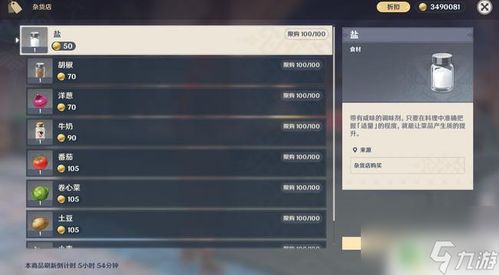 《原神》4.0攻略：深度解析发条机关讨伐秘籍，解锁全新挑战！