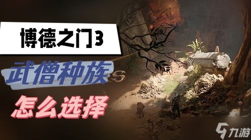 博德之门3武僧爆发流攻略，深度解析新价值技巧！