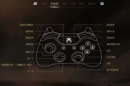 《博德之门3》8月20日大更新，解锁全新冒险篇章！