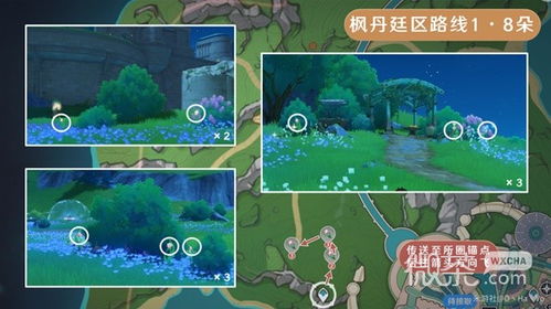 《原神》4.0攻略：虹彩蔷薇高效采集路线解析秘籍