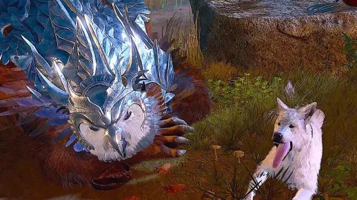 《博德之门3》月亮德鲁伊枭熊新形态Build攻略解析