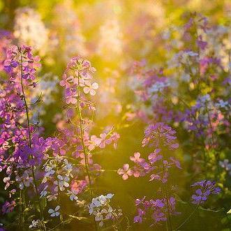 《地平线》PS5受阻，揭秘新价值游戏诞生记