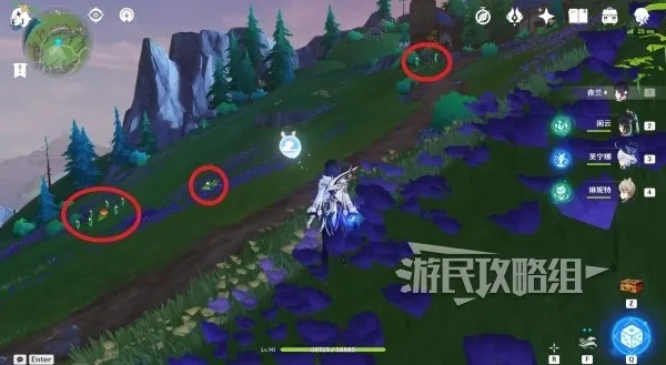 《原神》虹彩蔷薇获取攻略：揭秘4.0版本新资源获取途径