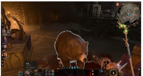 博德之门3独门秘籍：轻松捕获枭熊幼兽攻略大揭秘