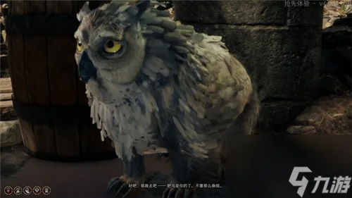 博德之门3枭熊揭秘：神秘力量新觉醒