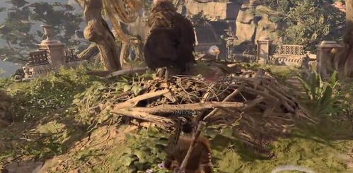 《博德之门3》洛山达之血攻略：高效获取方法大揭秘