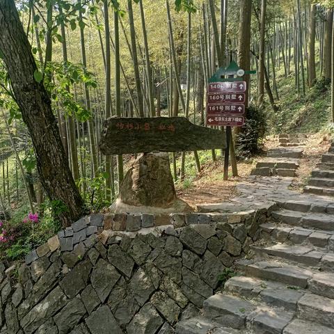 《遗迹2》速刷攻略：高效获取流光水晶新技巧