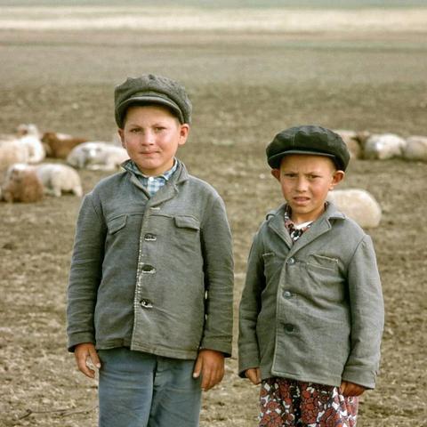 《遗迹2》极限减伤攻略：解锁全减伤上限技巧解析